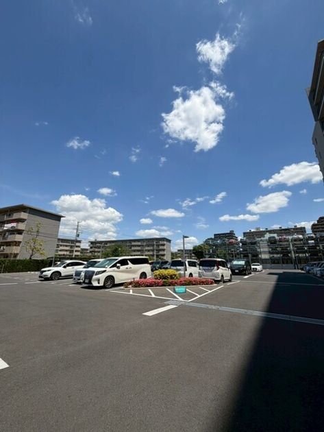 Naikan23 20260514084630 945x630