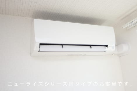 Naikan10 20260513000000