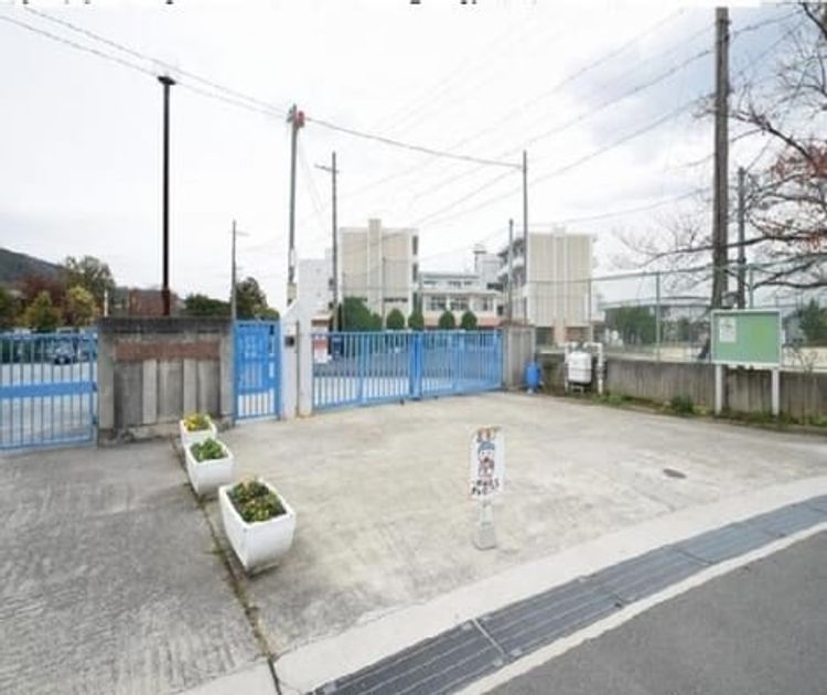 Naikan18 20250704000000 945x630