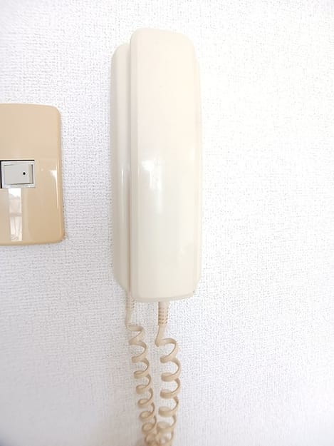 Naikan9 20260630000000