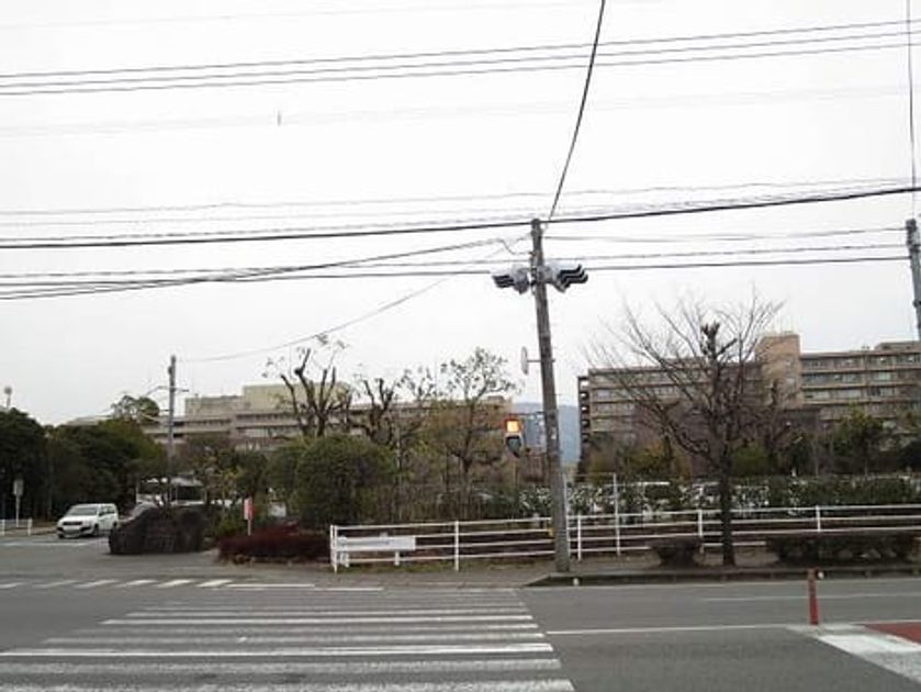 Naikan15 20201110000000 945x630