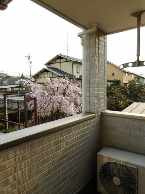 Naikan12 20180409000000 945x630