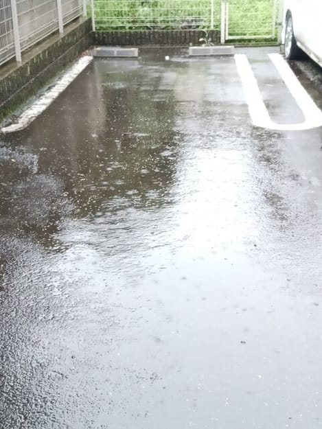Naikan10 20260908000000