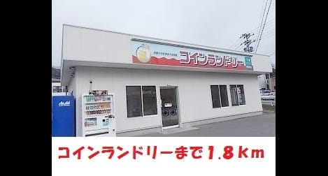 Naikan17 20190222000000