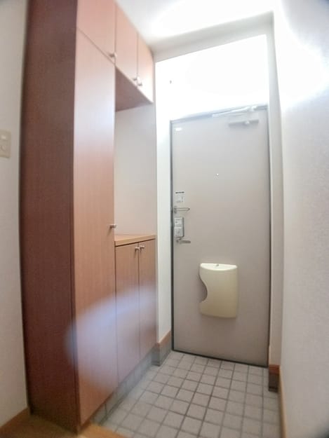 Naikan6 20260831000000