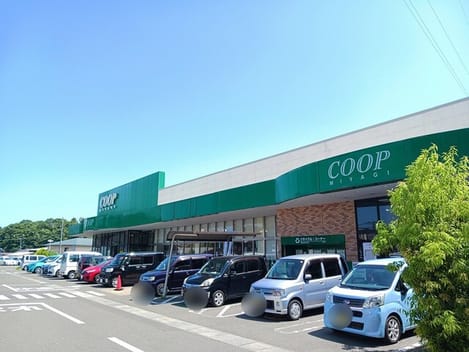 Naikan17 20251029000000