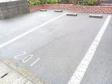 Naikan11 20260915000000
