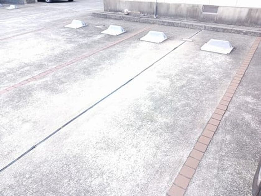 Naikan11 20251226000000 945x630