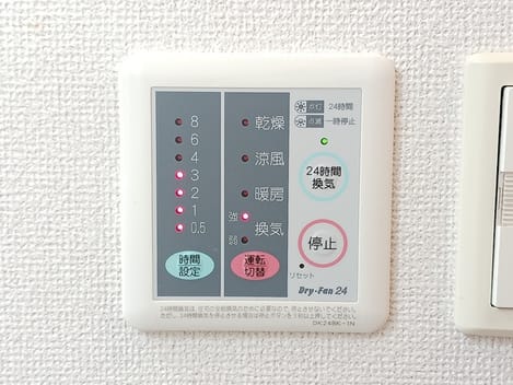 Naikan11 20260824000000