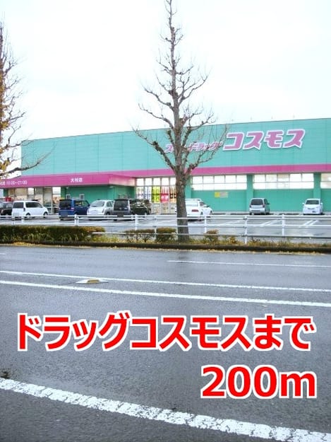 Naikan13 20150521000000