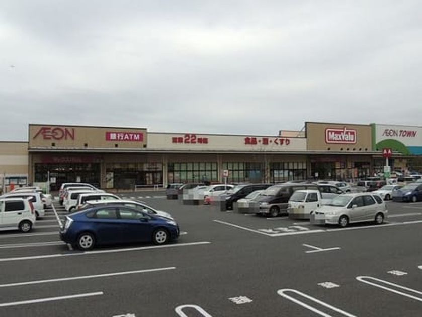 Naikan13 20210204000000 945x630