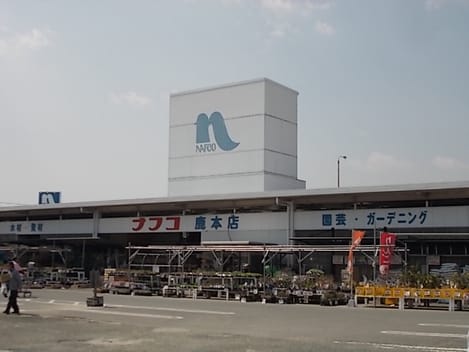 Naikan13 20241109000000