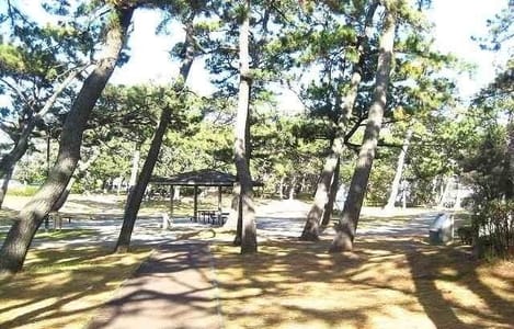 Naikan18 20260121000000