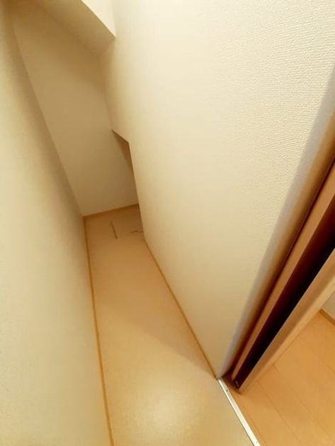 Naikan12 20240322000000 945x630