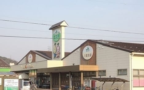 Naikan13 20240711000000