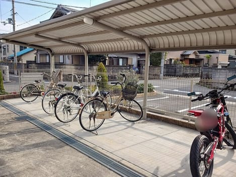 Naikan11 20250313000000