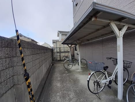 Naikan11 20230215000000