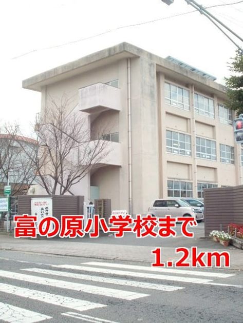 Naikan13 20140104000000 945x630