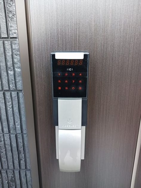 Naikan11 20260129000000 945x630