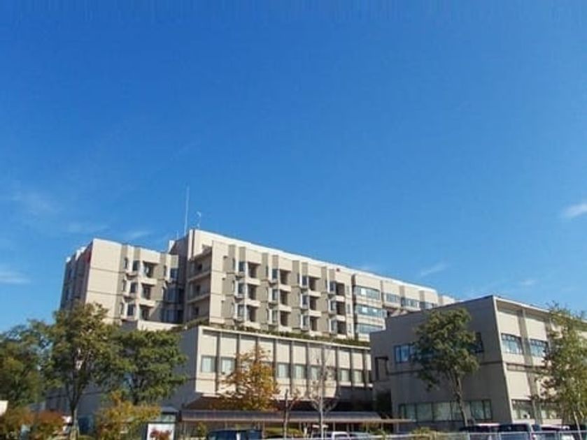 Naikan18 20250131000000 945x630