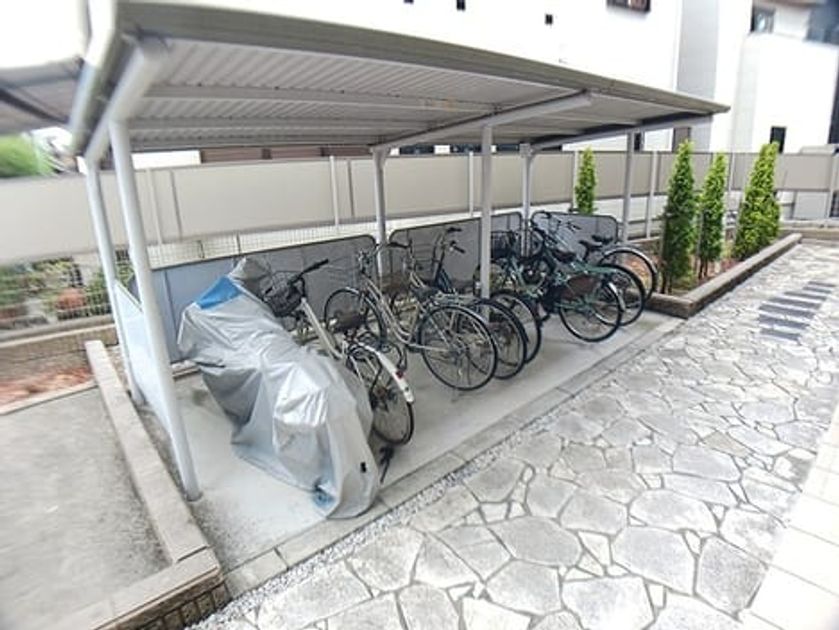 Naikan9 20260828000000 945x630