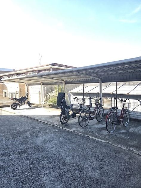 Naikan12 20261015000000 945x630