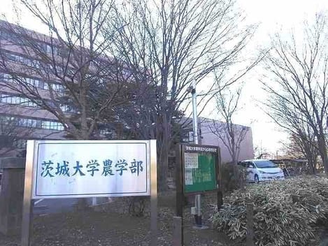 Naikan17 20220125000000