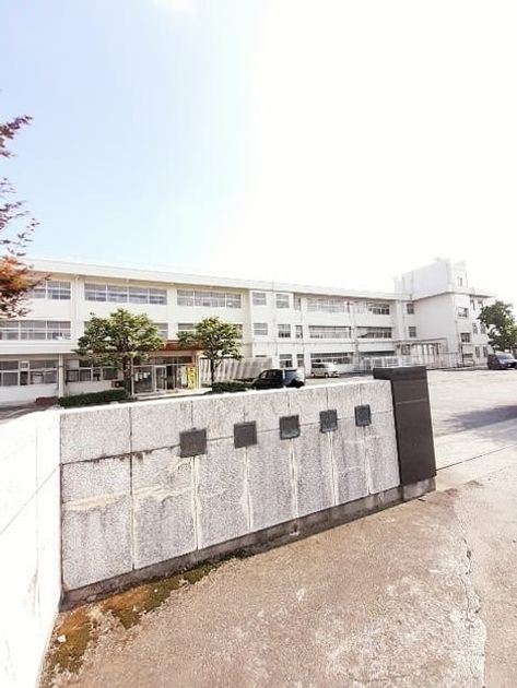 Naikan18 20250228000000 945x630