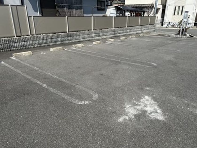 Naikan12 20250324000000 945x630