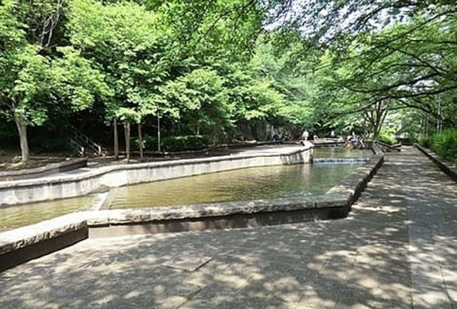Naikan17 20200328000000 945x630