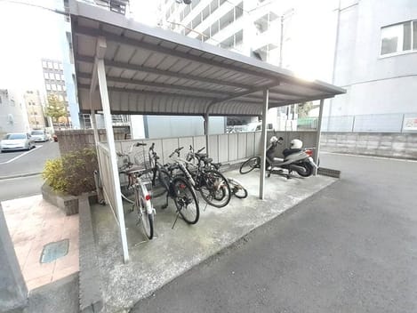 Naikan11 20260819000000