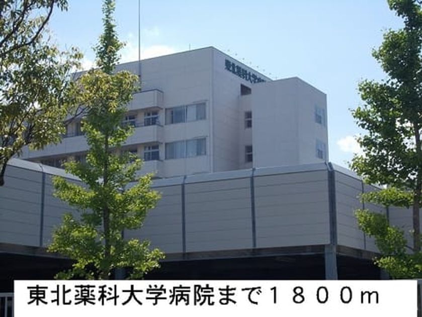 Naikan17 20150726000000 945x630