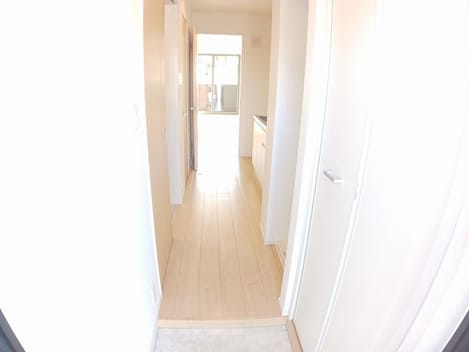 Naikan8 20241112000000