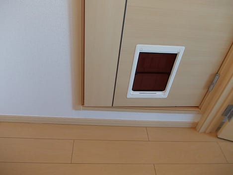 Naikan6 20121114000000
