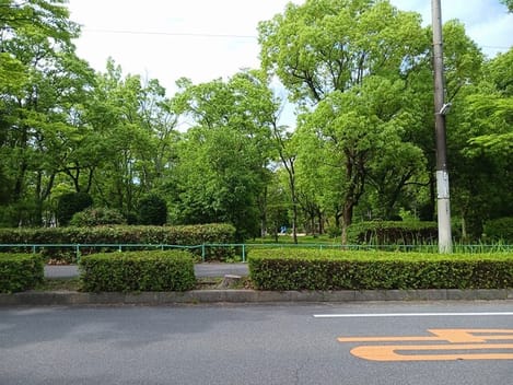 Naikan16 20250612000000