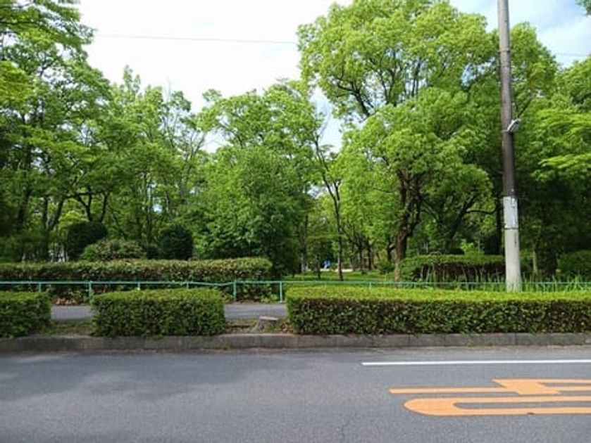 Naikan16 20250612000000 945x630