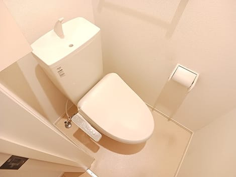 Naikan7 20260909000000