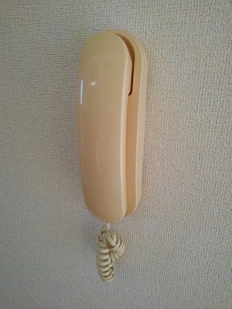 Naikan9 20201215000000