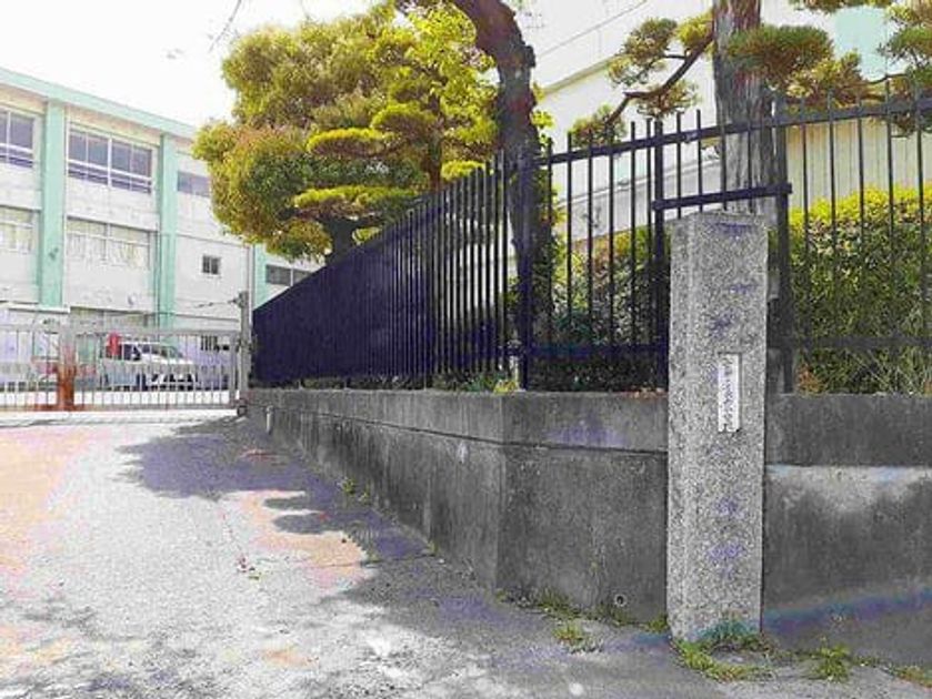 Naikan18 20220328000000 945x630
