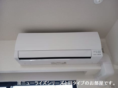 Naikan11 20260804000000