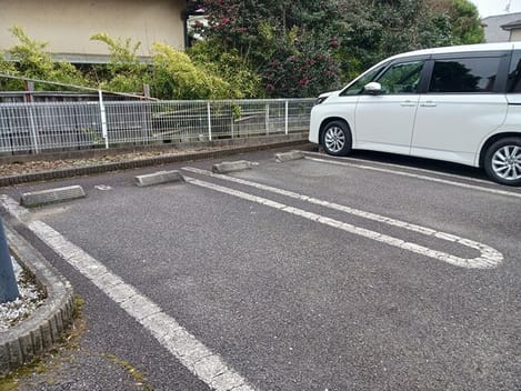 Naikan11 20250312000000