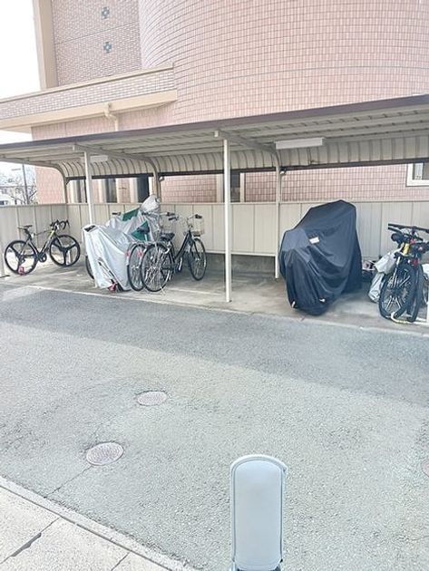 Naikan10 20261020000000 945x630