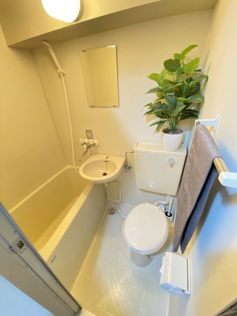 Naikan7 20261006184352 945x630