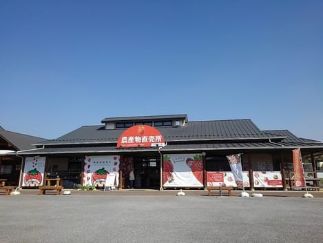 Naikan17 20250708000000