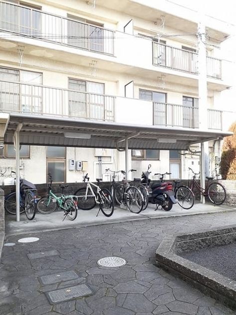 Naikan8 20230202000000 945x630