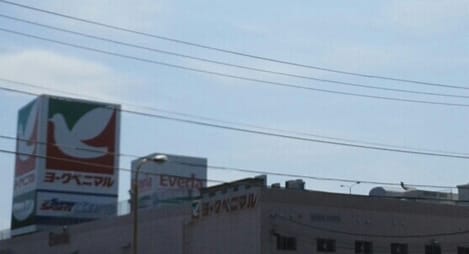 Naikan13 20230111000000