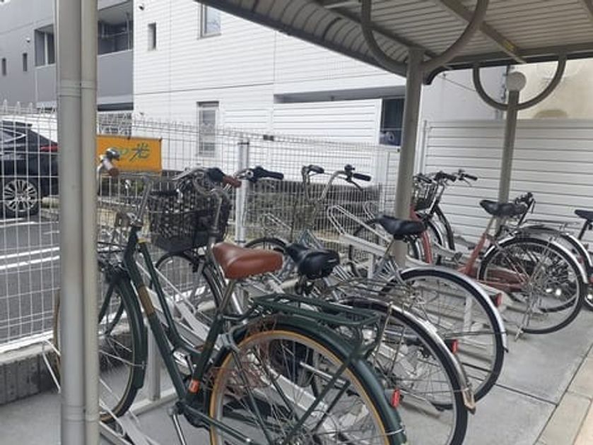 Naikan11 20240227000000 945x630