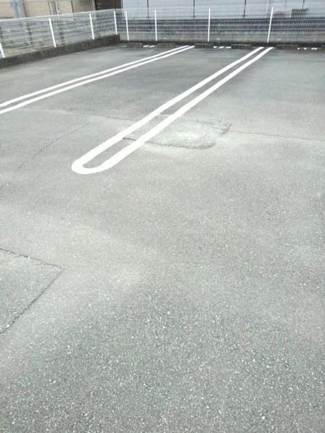Naikan11 20201130000000 945x630