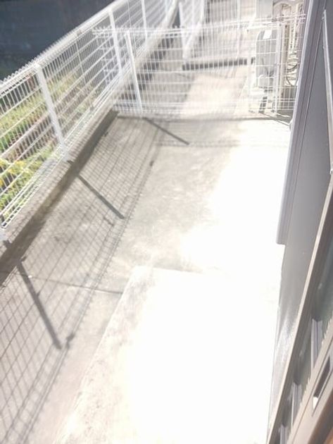 Naikan12 20261021000000 945x630