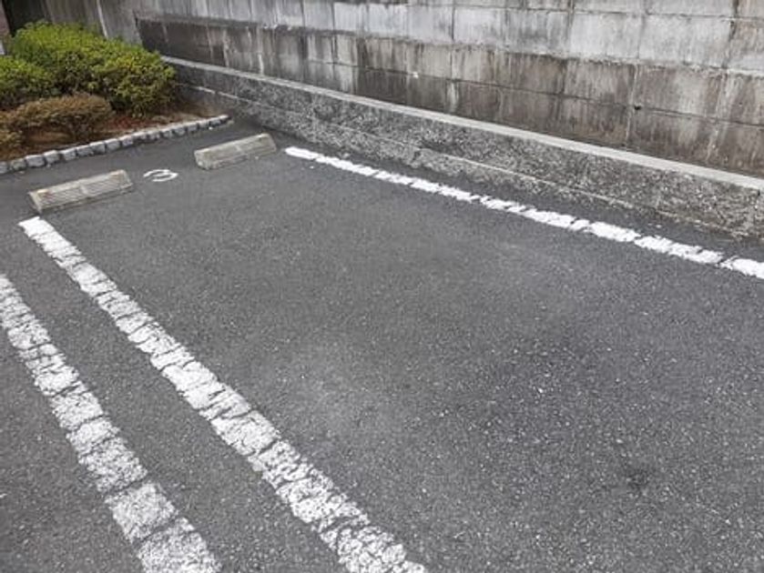 Naikan12 20220317000000 945x630